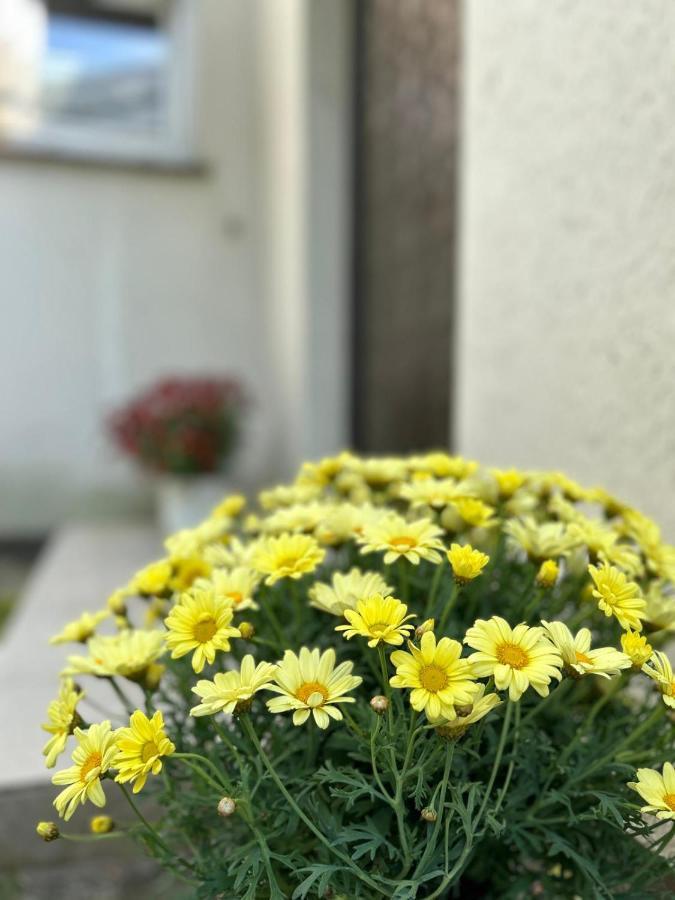 Gemuetliches Familienhaus - Fuehlt Euch Wohl Lägenhet Oldenburg Exteriör bild